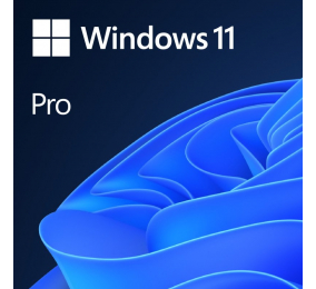 Sistema Operativo Windows 11 Pro 64 Bits EN DVD OEM